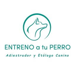 Entreno A Tu Perro