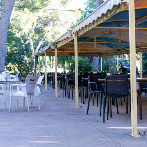 Restaurante Monte Vedat RESTAURANTES