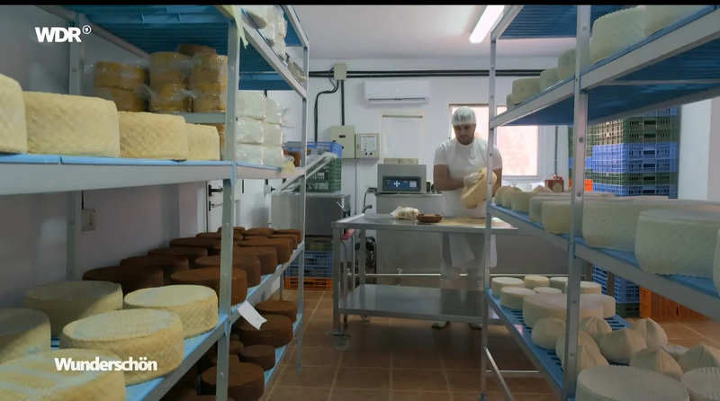 Queseria Caprarius 2