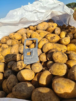 Galería de imágenes