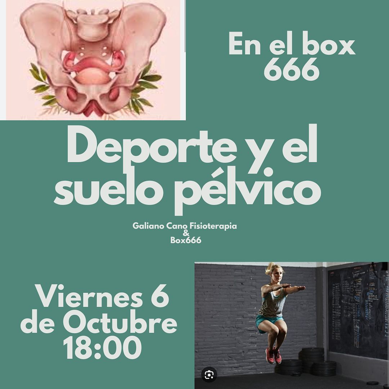 Box 666 Ocaña Multifuncional 32