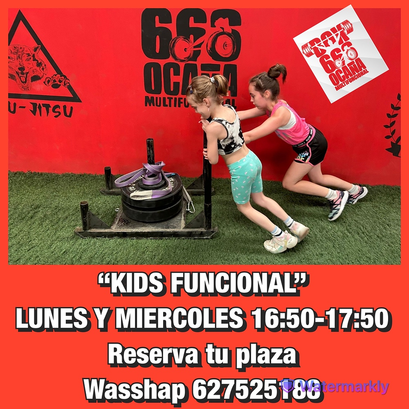 Box 666 Ocaña Multifuncional 28