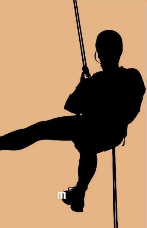 Experiencia Vertical