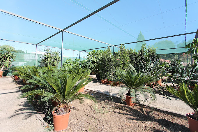 Garden La Merced 3
