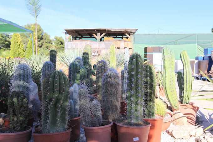 Garden La Merced 4