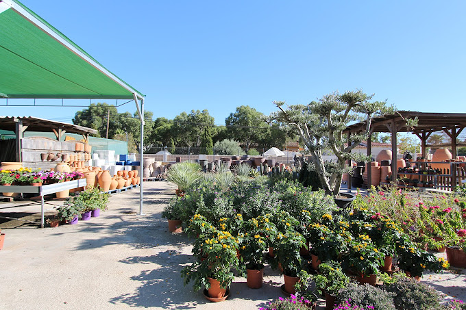 Garden La Merced 2