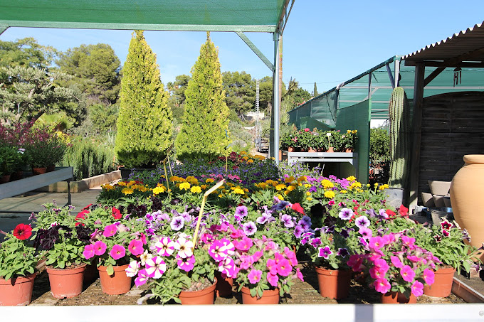 Garden La Merced Calp