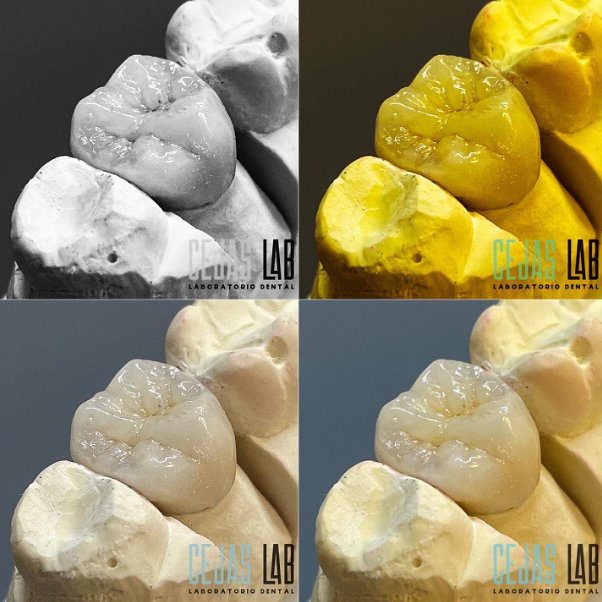 Cejas Lab 11