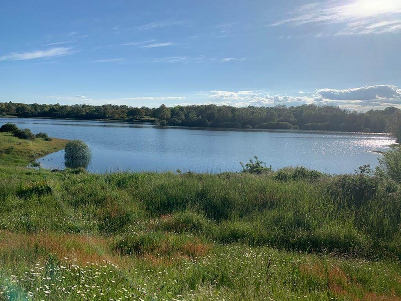 Las Pe&ntilde;as del Corredor en Entrepe&ntilde;as de Sanabria. Zamora TURISMO RURAL: ALOJAMIENTO RURAL
