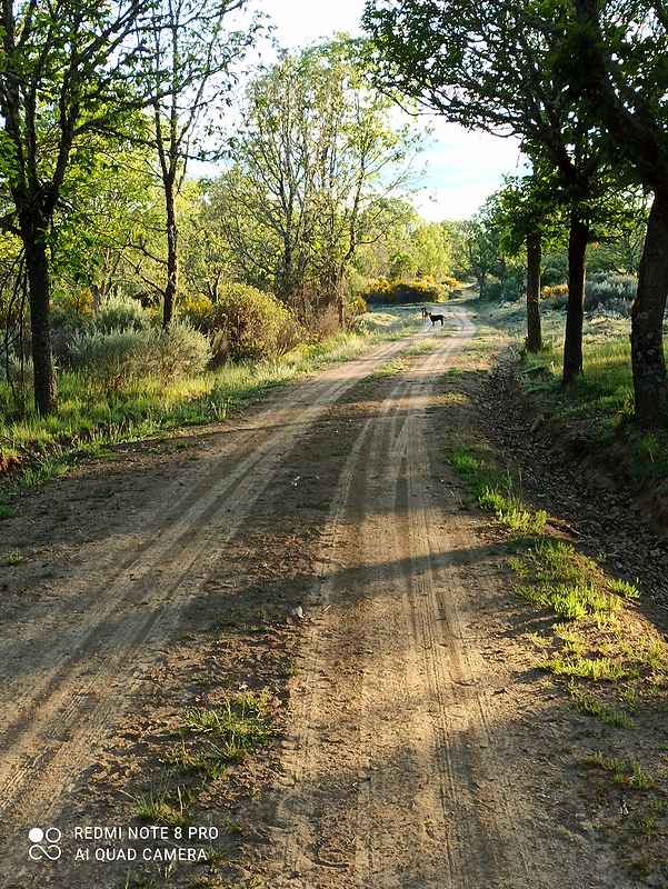 Las Pe&ntilde;as del Corredor en Entrepe&ntilde;as de Sanabria. Zamora 17