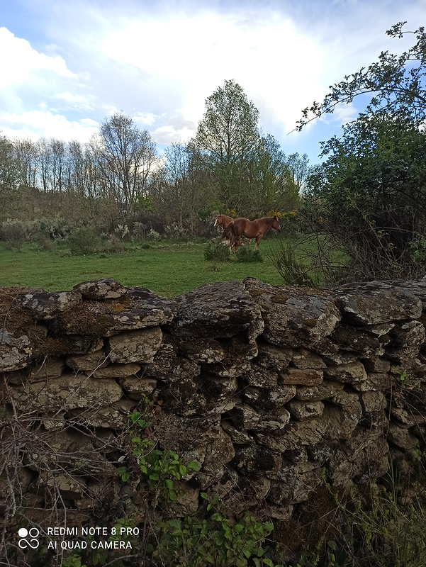 Las Pe&ntilde;as del Corredor en Entrepe&ntilde;as de Sanabria. Zamora 18