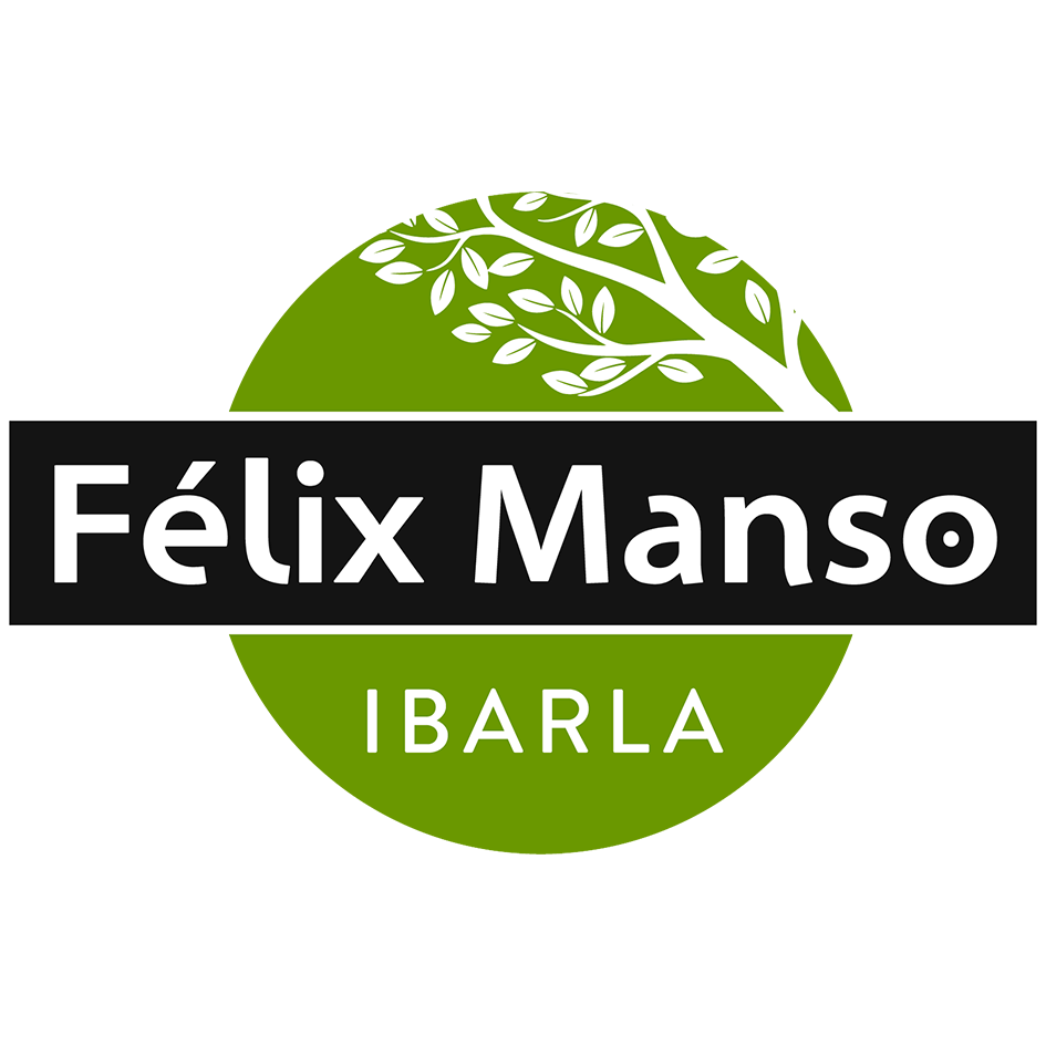 Felix Manso Ibarla