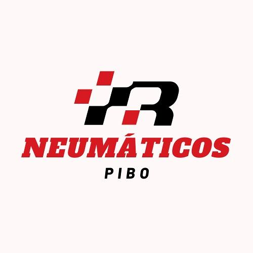 Neum&aacute;ticos y Servicios Pibo TALLERES MECANICOS PARA AUTOMOVILES
