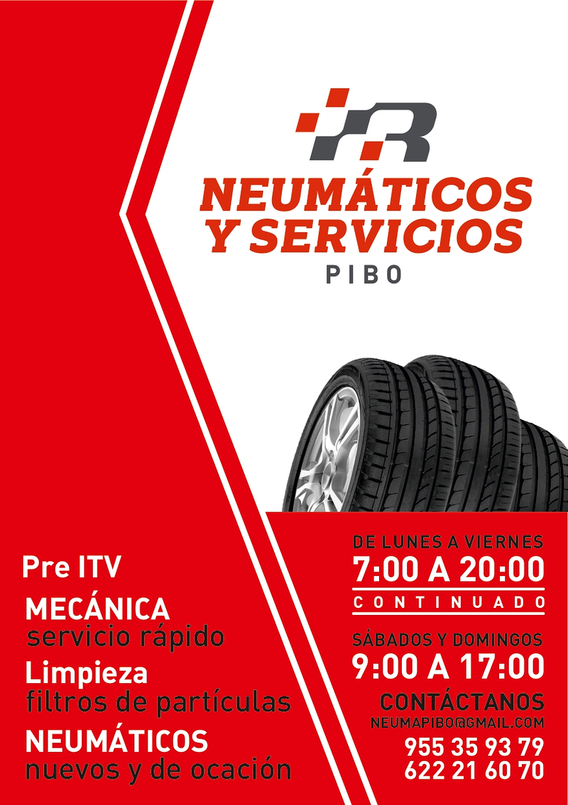 Neum&aacute;ticos y Servicios Pibo 2
