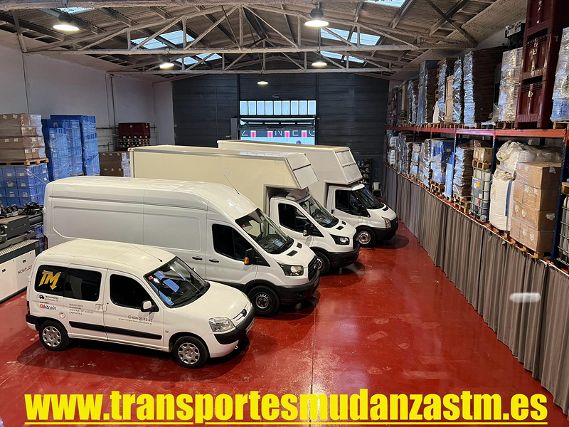 mudanzas y transportes tm 9