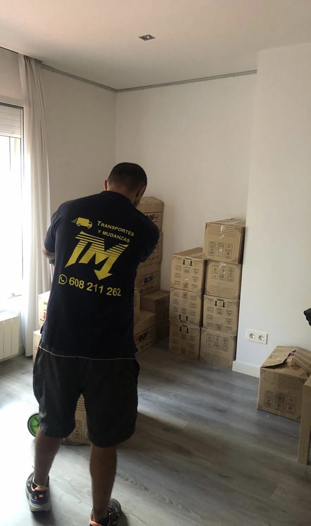 mudanzas y transportes tm 6