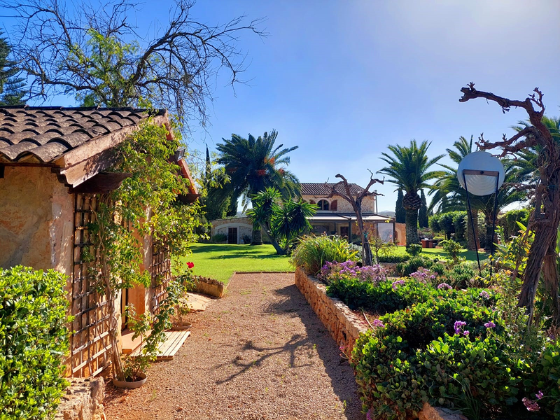 K&M Properties Mallorca 12