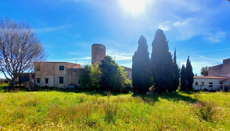 K&M Properties Mallorca 63