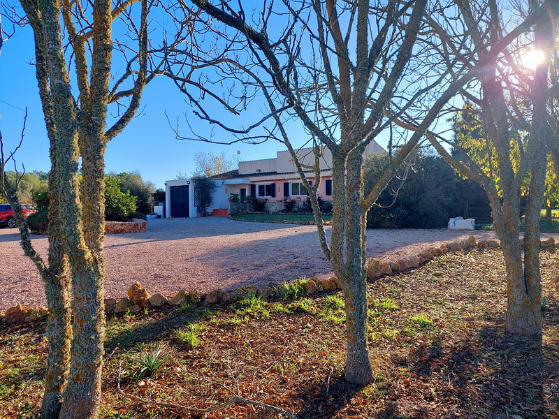 K&M Properties Mallorca 47