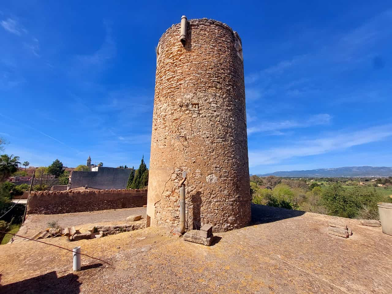 K&M Properties Mallorca 60