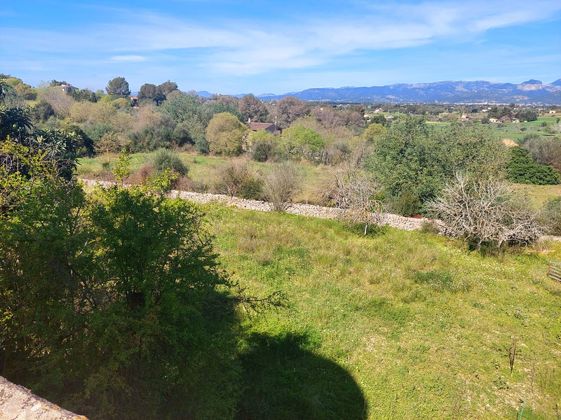 K&M Properties Mallorca 62