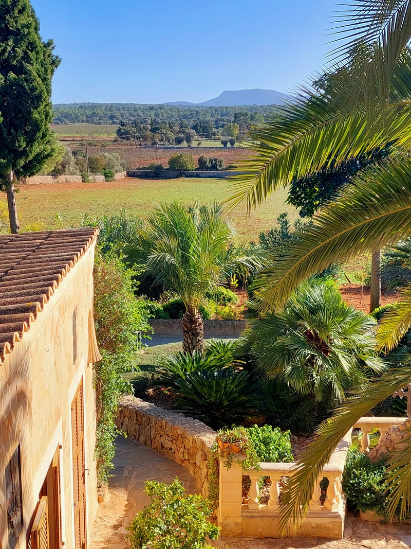 K&M Properties Mallorca 14