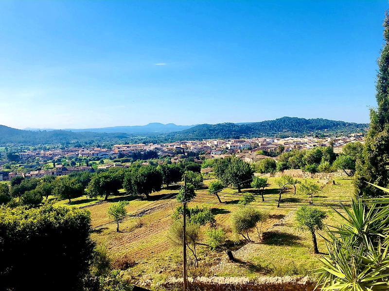 K&M Properties Mallorca 44