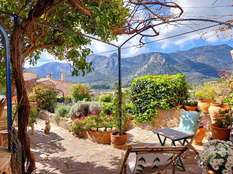 K&M Properties Mallorca 55