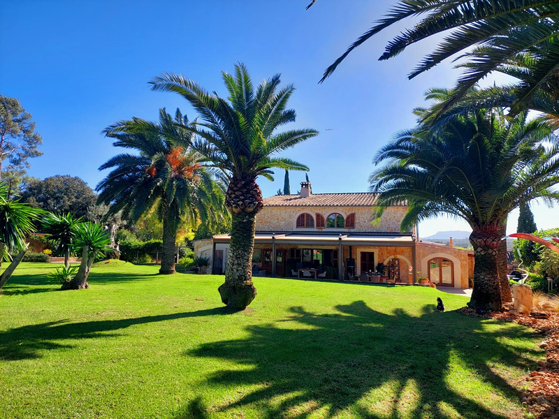 K&M Properties Mallorca 8