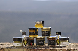 Galería de imágenes