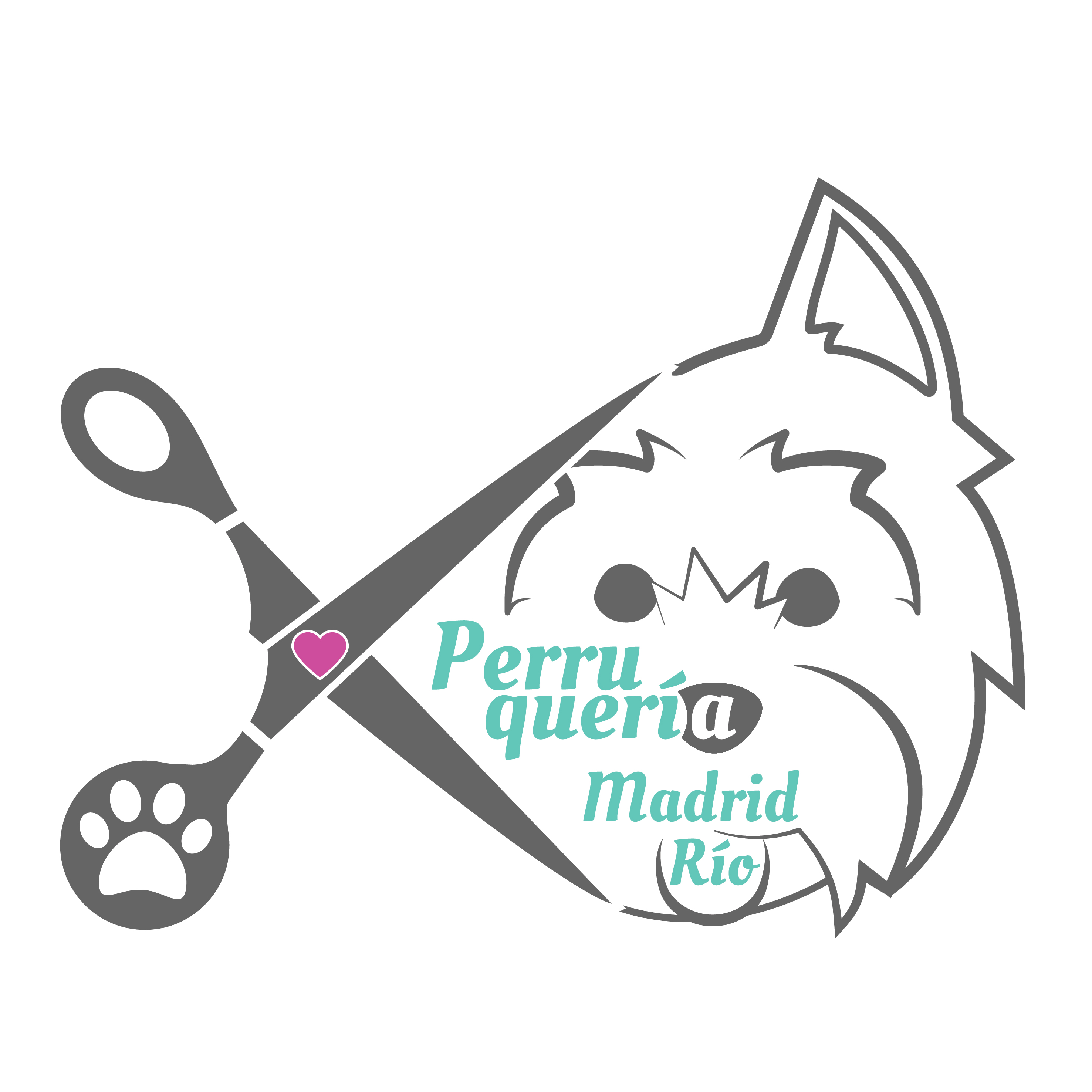 Peluquería Canina Amable Perruquería Madrid Río