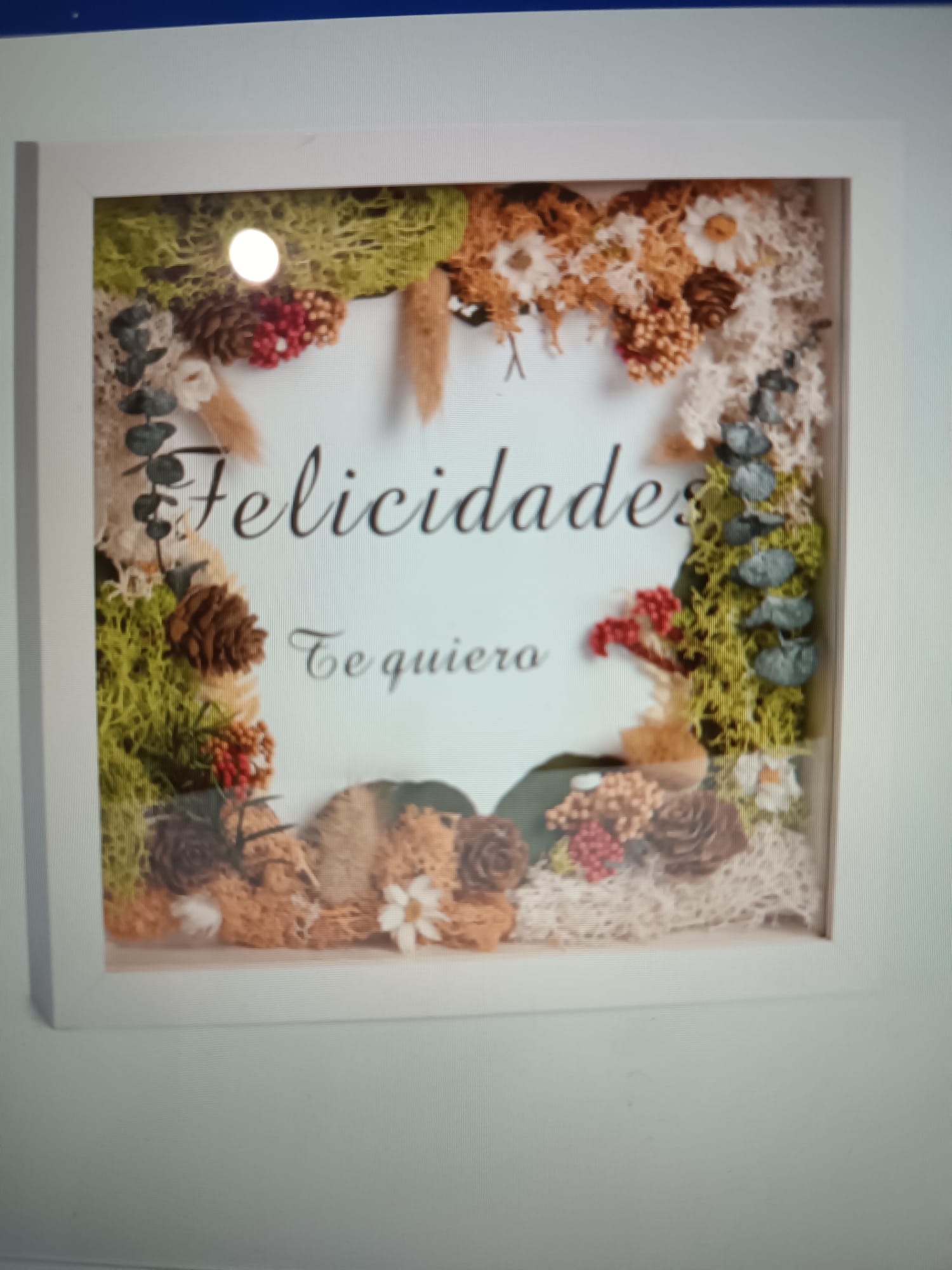 Florister&iacute;a La bella flor 12