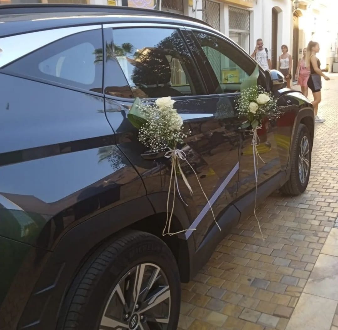 Galería de imágenes