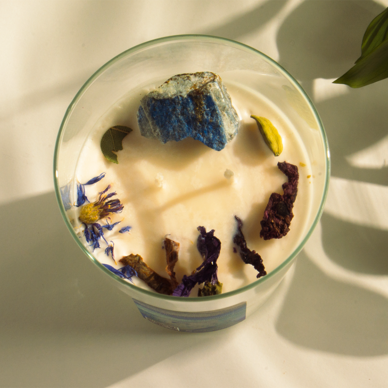 Lorena Neumann Del Río 8