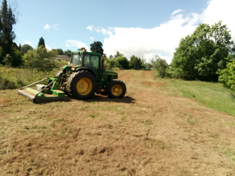 Trabajos Agroforestales Cristian 4