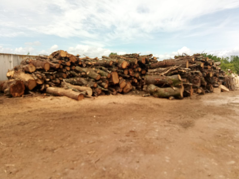 Trabajos Agroforestales Cristian 6