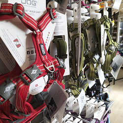 Galería de imágenes