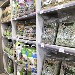 Galería de imágenes