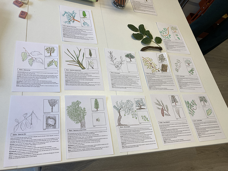 Espais De Connexi&oacute; 4