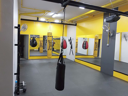 Galería de imágenes