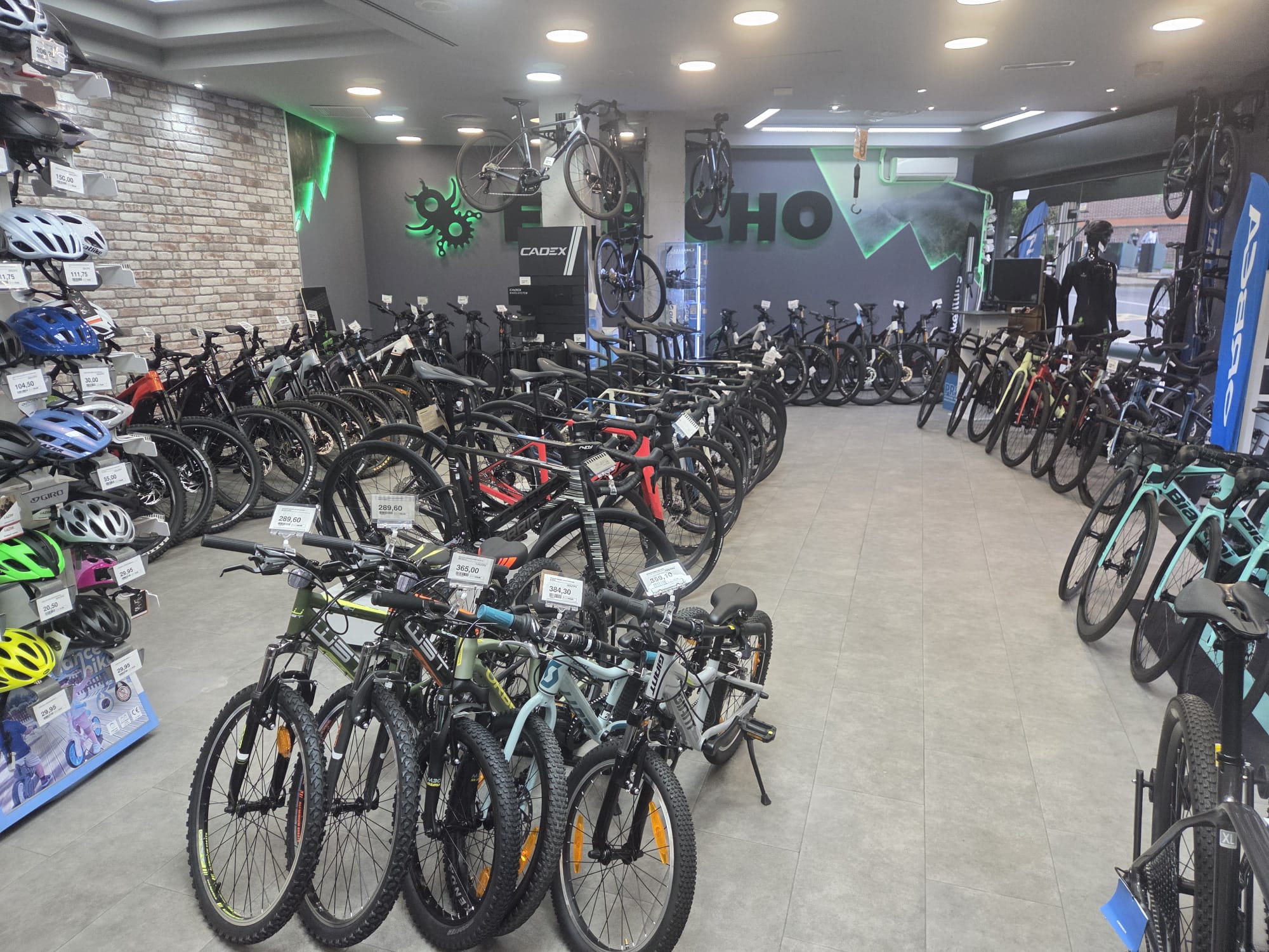 Galería de imágenes