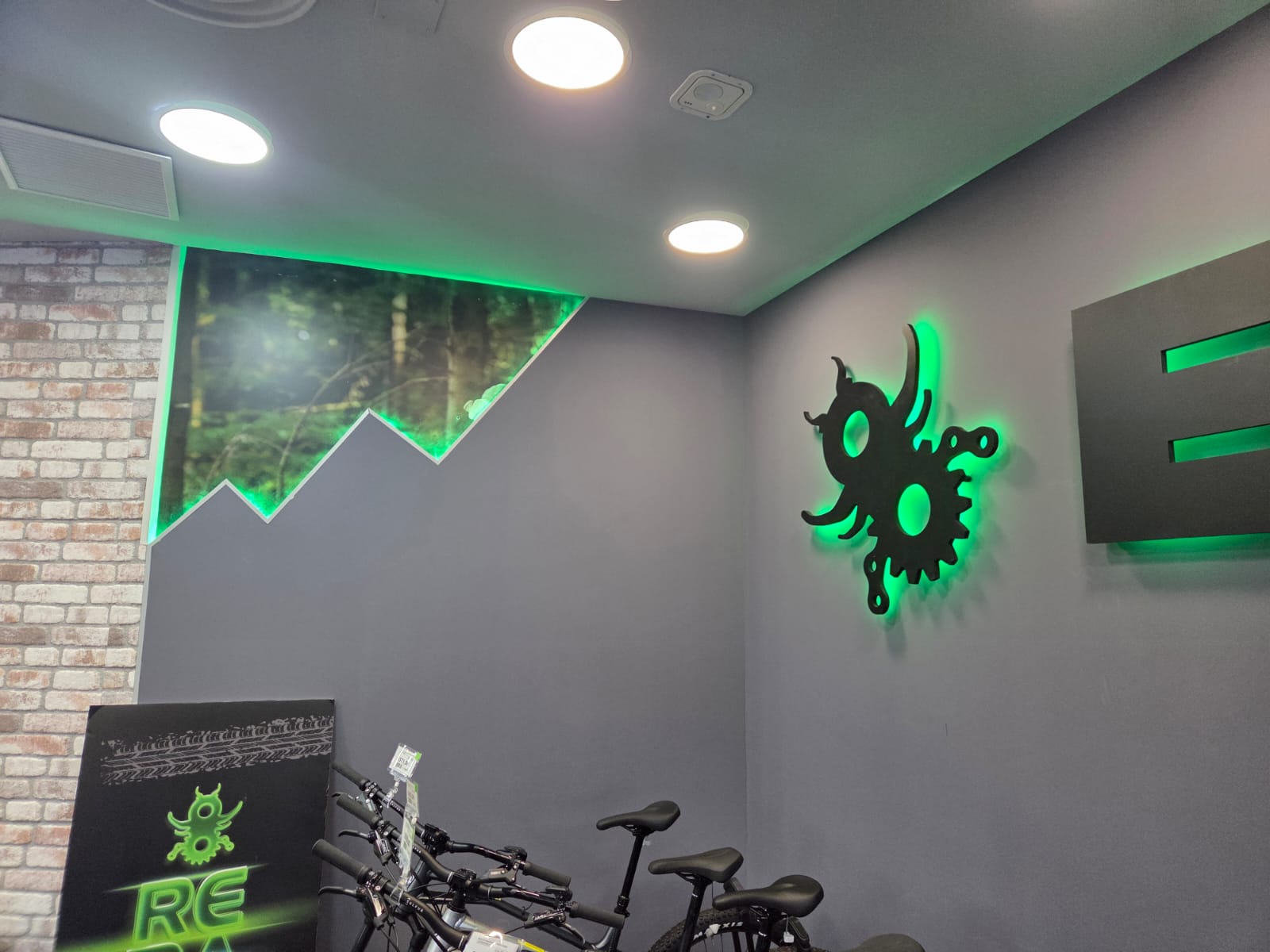 Galería de imágenes