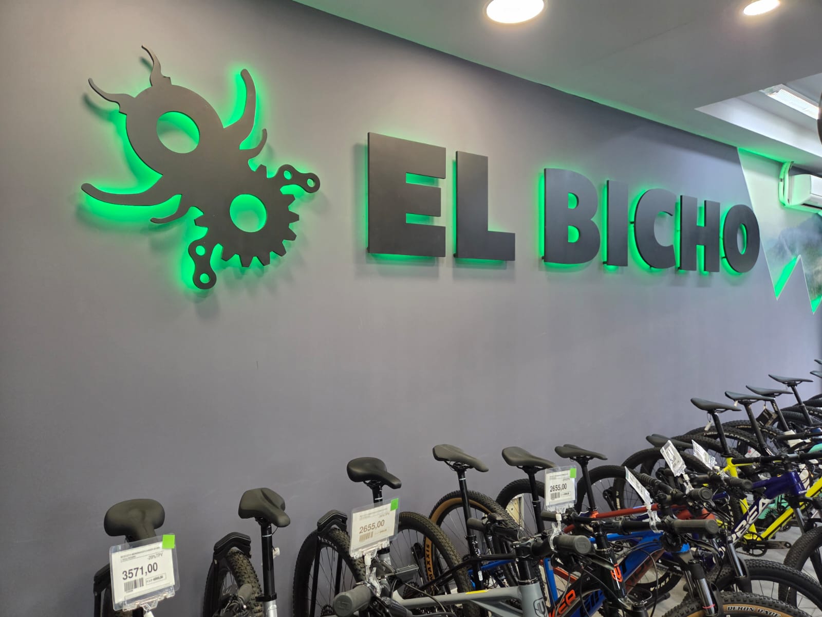 Galería de imágenes