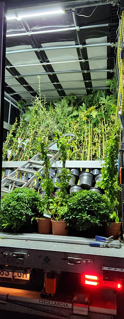 Galería de imágenes