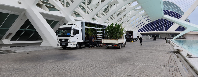 Top Trans Services Express 19