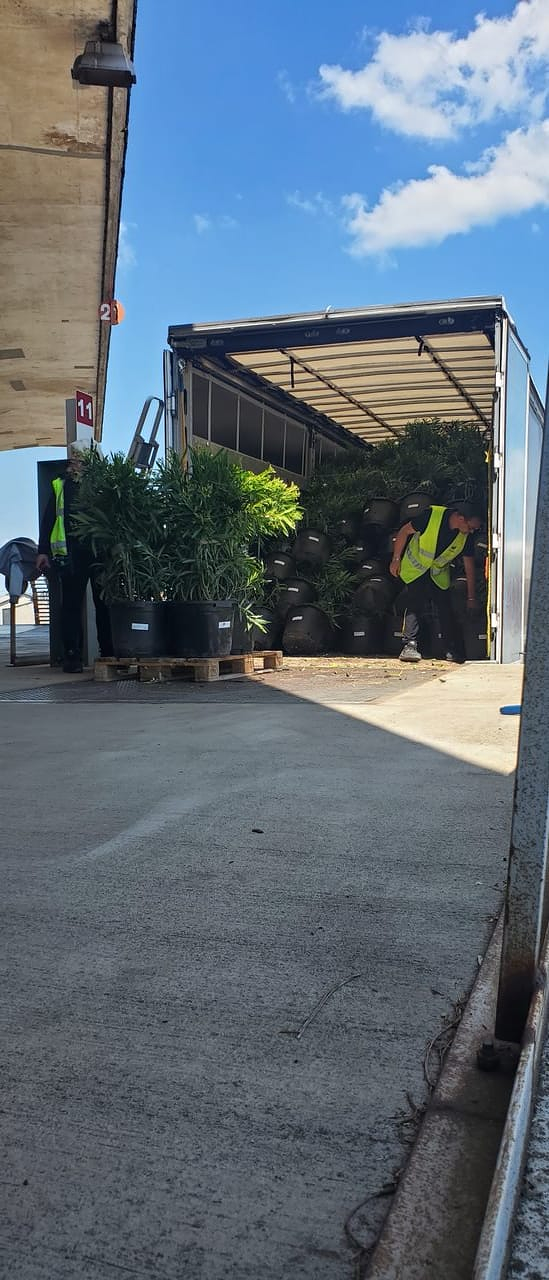 Top Trans Services Express 9