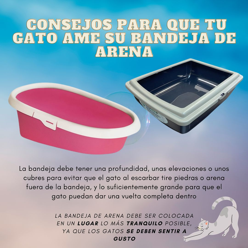 Ferrad Mirror Center 4