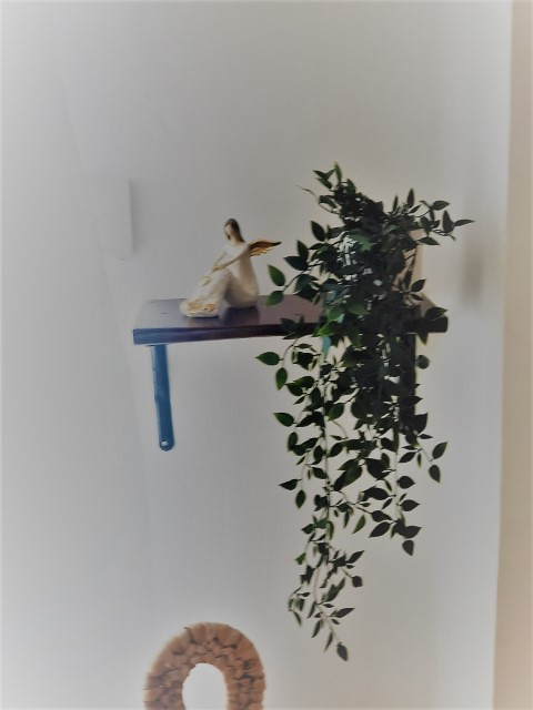 Llar Miromar Cabanyal 17