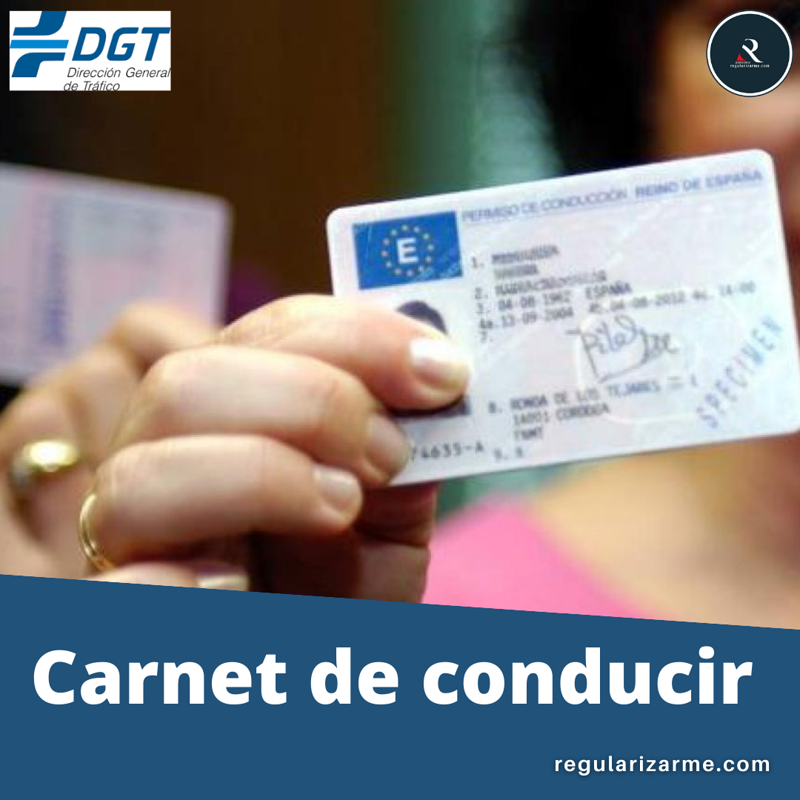 Asesor&iacute;a regularizarme.com 6