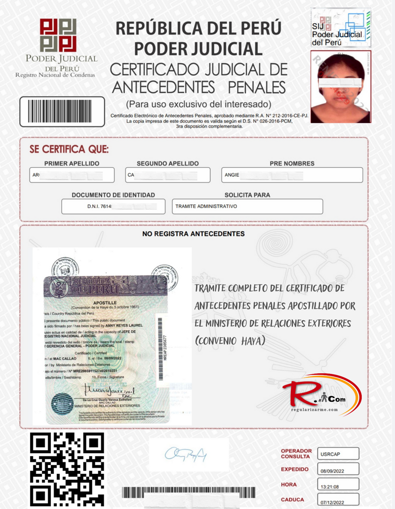 Asesor&iacute;a regularizarme.com 5